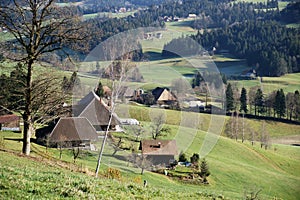 Emmental photo