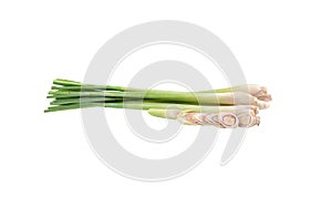 emon grass isolated on white