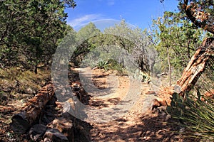 Emory Peak Trail