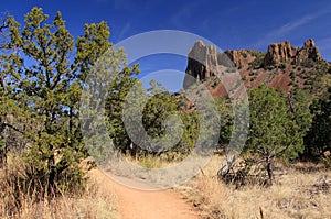 Emory Peak Trail