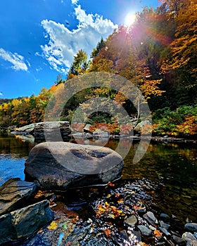 Emory River autumn colors leaves art nature