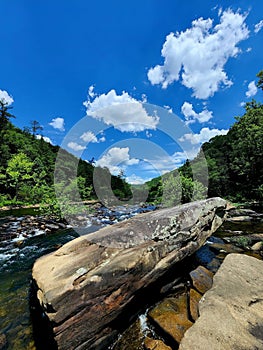 Emory River Gorge nature art Scenic