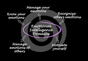 Emotional Intelligence Domains