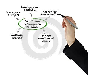 Emotional Intelligence Domains