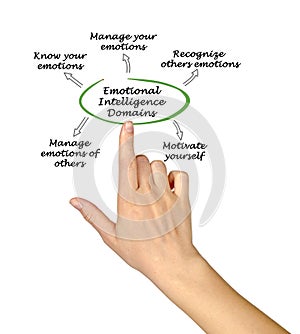 Emotional Intelligence Domains photo