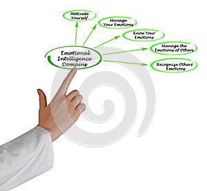 Emotional Intelligence Domains