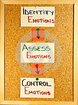 Emotional intelligence stages photo