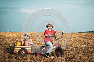 Emotional kids walks outdoors and enjoy walking. Happy children in summer in nature. Adorable kids having fun. Happy