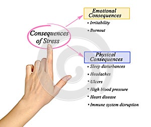 Consequences of Stress