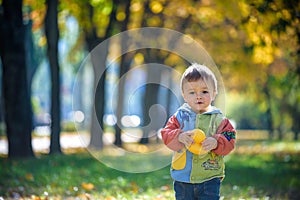 Emotional portrait of a happy and cheerful little boy laughing. yellow flying maple leaves while walking in the autumn park. Happy