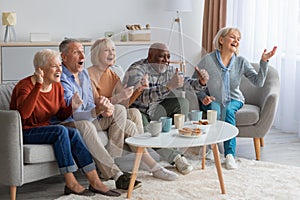 Emotional senior people watching television in the living room