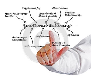 Emotional Wellbeing