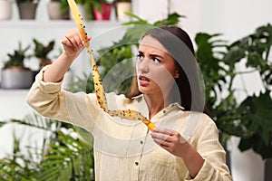 Emotional woman holding sticky insect tape with dead flies indoors photo