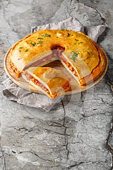 Empanada gallega is a traditional savory pie from the Spanish filling is with meat, bell pepper, tomato and onion closeup on the