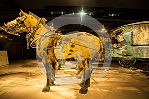 Emper Qin's Terra-cotta warriors and horses Museum