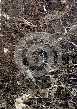 Emperador coffee marble texture photo