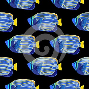 Emperor angelfish seamless pattern. Pomacanthus imperator illustration