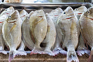 Emperor fish for sale at fresh market in Thaialnd.