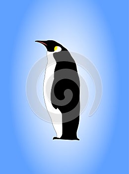 Emperor penguin