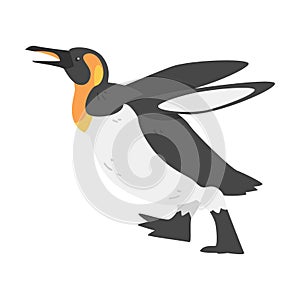 Emperor Penguin as Aquatic Flightless Bird with Flippers for Swimming in Running Pose Vector Illustration