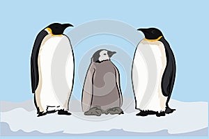 Emperor penguin family photo