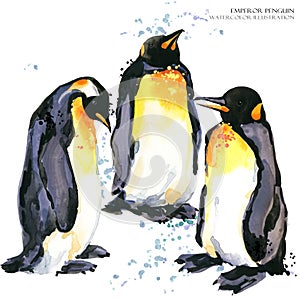 Emperor penguin set watercolor illustration