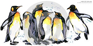 Emperor penguin set watercolor illustration