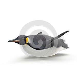 Emperor penguin sliding. isolated on white. 3D illustration