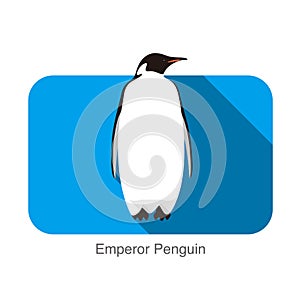 Emperor Penguin standing on the ground, Penguin seed series