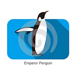 Emperor Penguin standing on the ground, Penguin seed series