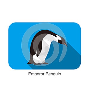 Emperor Penguin standing on the ground, Penguin seed series