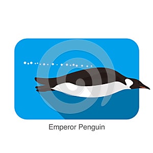 Emperor Penguin swimming in the water, Penguin seed series, vector