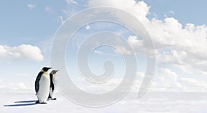 Emperor penguins in Antarctica photo