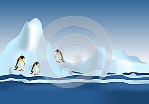 Emperor Penguins, cdr vector