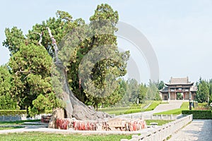 Emperor Shun Tomb Soenic Spot. a famous historic site in Yuncheng, Shanxi, China.