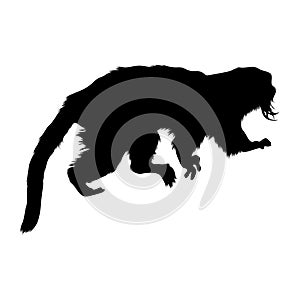 Emperor Tamarin Saguinus Imperator Silhouette Vector Found In Map Of South America