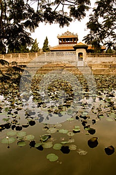 Emperors village ,Hue,Lilly pad pond