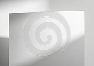 Emphasizes the texture and contours, showcasing a play between