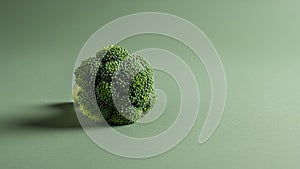 Emphasizes the vegetable s organic form against a monochromatic