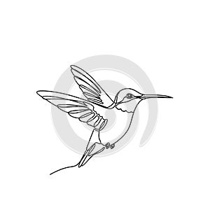 Emphasizing the fluidity and precision of the lines that form the