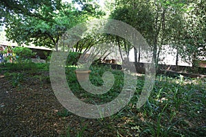 Empire state mine State Park