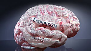 Empiricism and a human brain