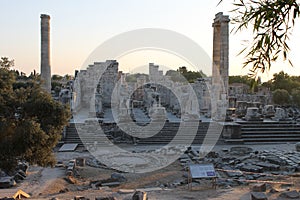 Temple of Apollo Didima