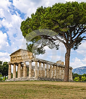 Emple of Athena at Paestum was an ancient Greek city in Magna Graecia photo