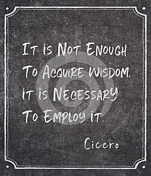 Employ it Cicero quote photo