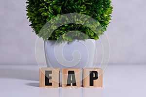 Employee assistance program EAP sign on wooden cubes