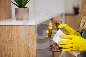 Employee of a cleaning company cleans the office