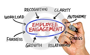 Employee engagement diagram hand drawing on whiteboard