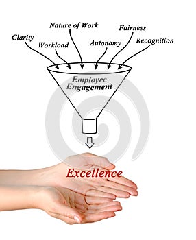 From employee engagement to excellence