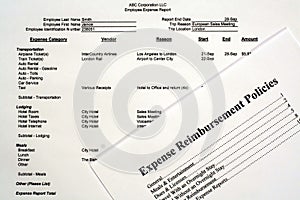 Employee Expense Report